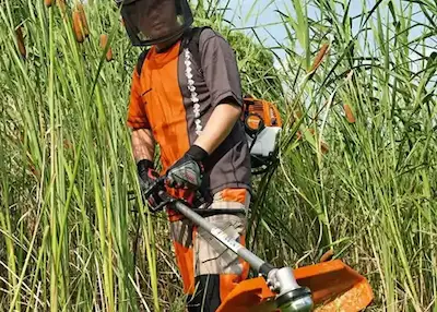 Desmalezado de terrenos