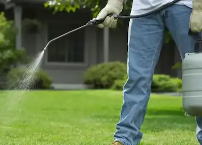 Fumigación. Control de plagas.